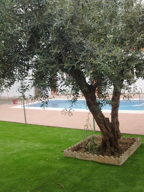 Apartamentos Turisticos Domus Aquae Mérida Kültér fotó